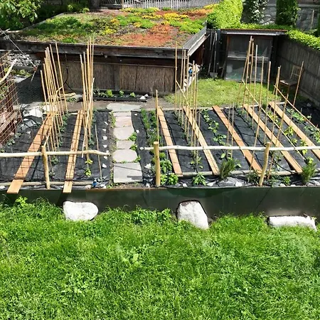 Apartment Nora S 5 - Panoramic Terrace & Bio Garden